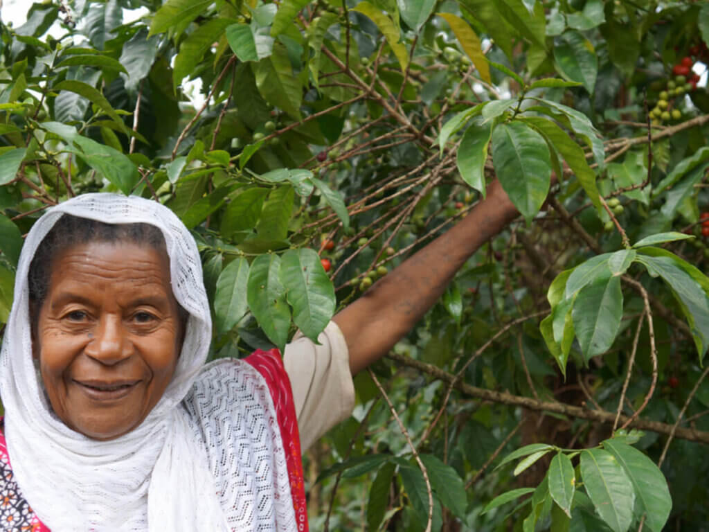 Kawa z Etiopii Biri Chereka