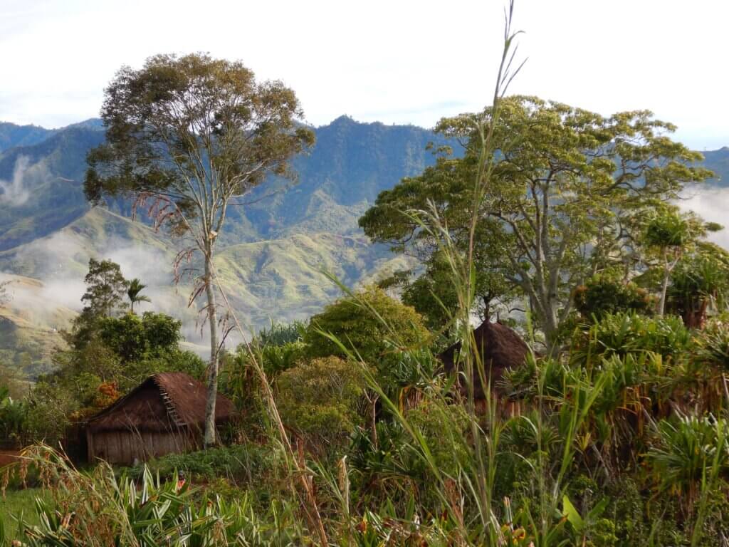 Papua Nowa Gwinea Korofeigu